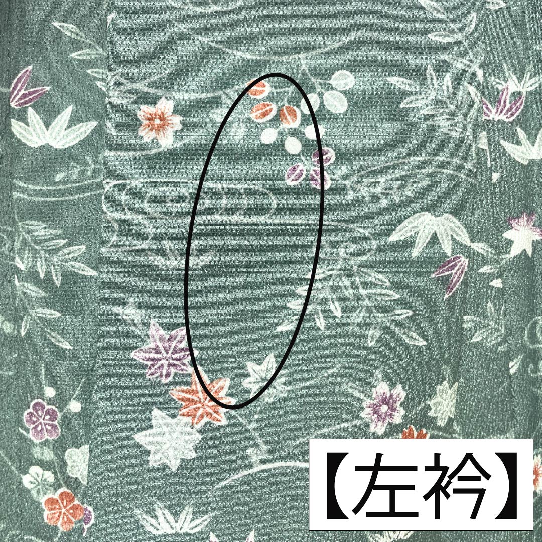 小紋 ポリエステル 身丈158.5cm 裄丈63cm 袷 山藍摺色(やまあいずりいろ) 洗える着物 草木模様 Aランク 緑系 1115005143319