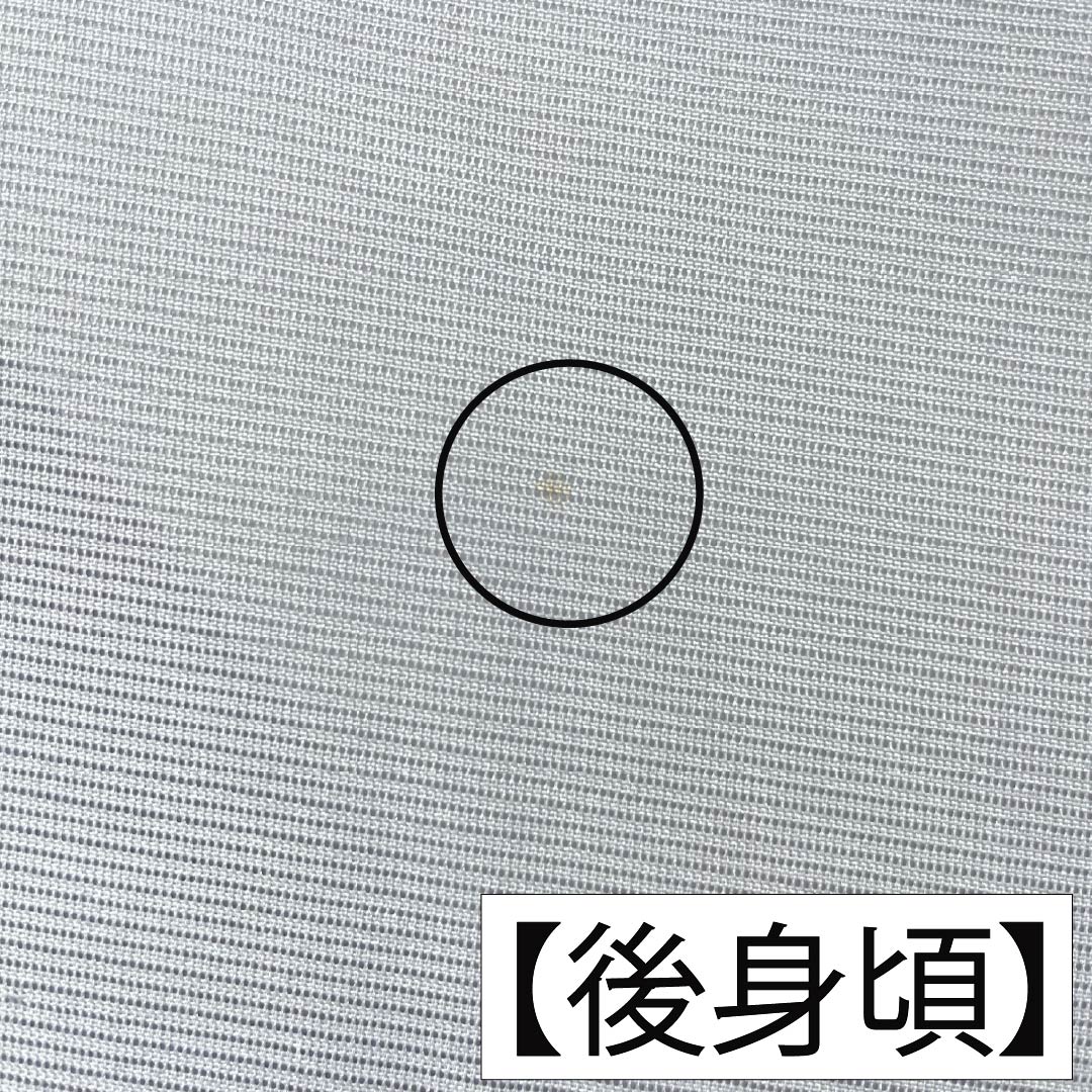 夏物 ポリエステル 付下げ Aランク 身丈165.5cm 裄丈65.5cm 雪色(せっしょく) 洗える着物 唐子模様 絽 グレー系 1132006293522