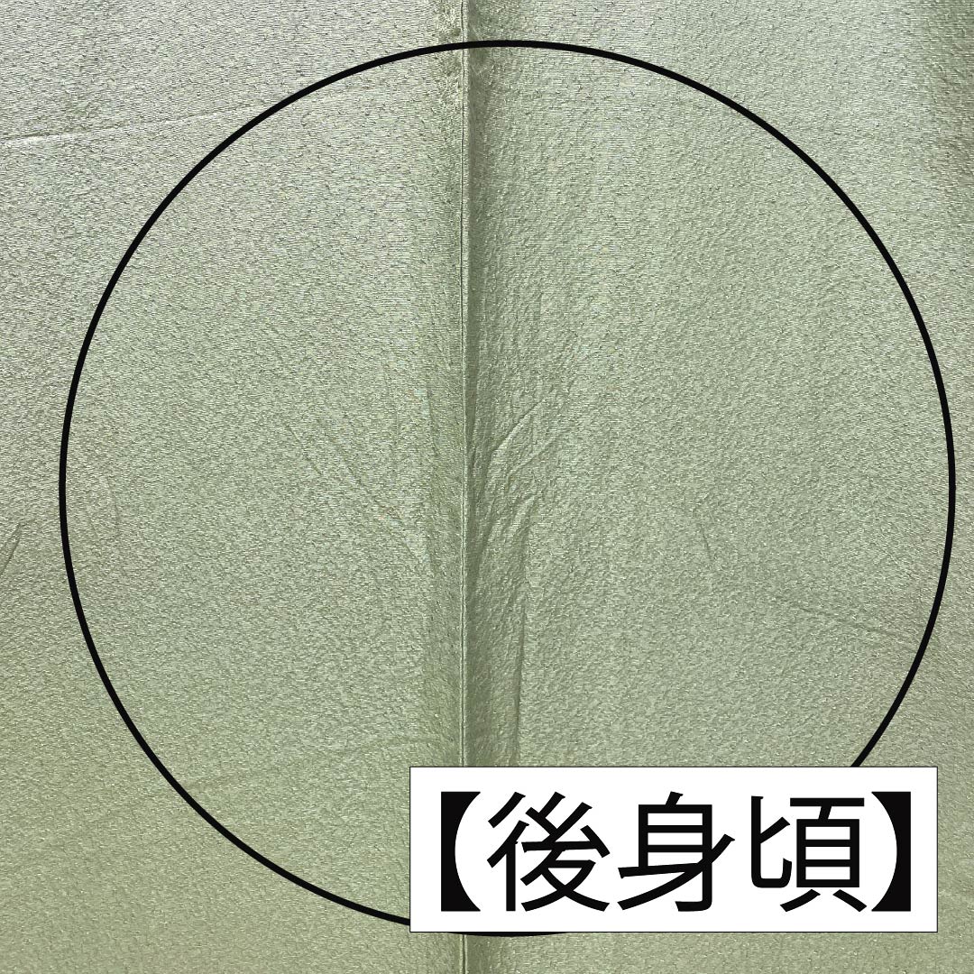 色無地 正絹 Bランク 身丈154cm 裄丈65cm 裏葉色(うらはいろ) 単衣 緑系 1114002374219