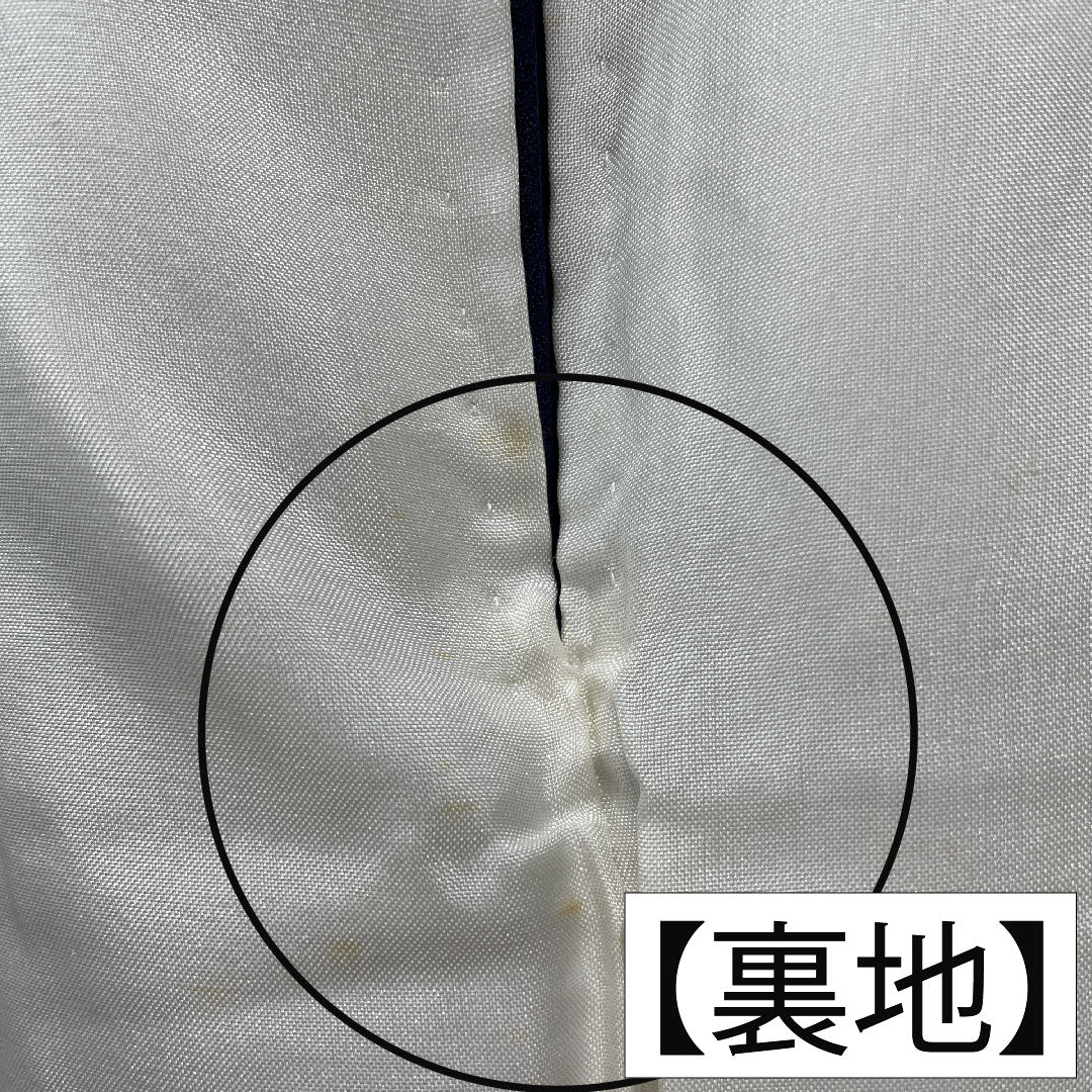 訪問着 正絹 袷 身丈159cm 裄丈65cm 濃紺色(のうこんいろ) 蝶 薔薇 Aランク 紺系 1112005883318