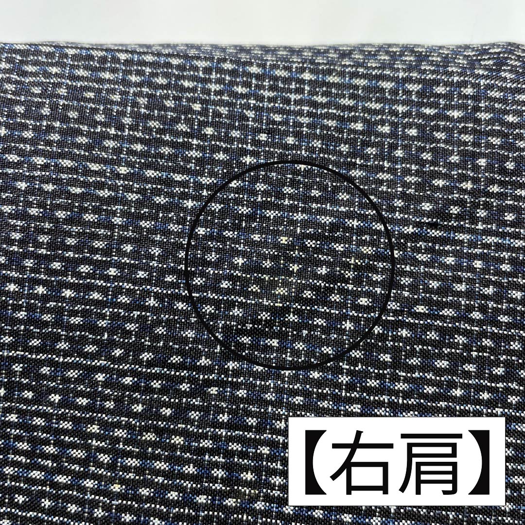 男物 正絹 Bランク 身丈140cm 裄丈65cm 青褐色(あおかちいろ) 横双絣 大島紬 アンサンブル 袷 紺系 1119001364418