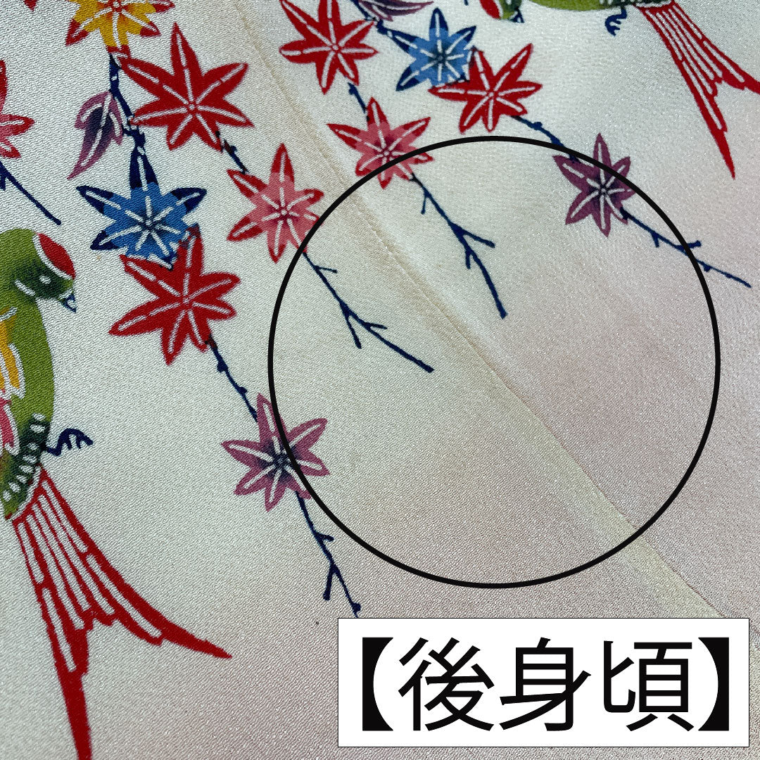 訪問着 正絹 袷 身丈158.5cm 裄丈65cm 密陀僧色(みつだそういろ) 京紅型 紅葉 鳥 Aランク クリーム系 1112005943315