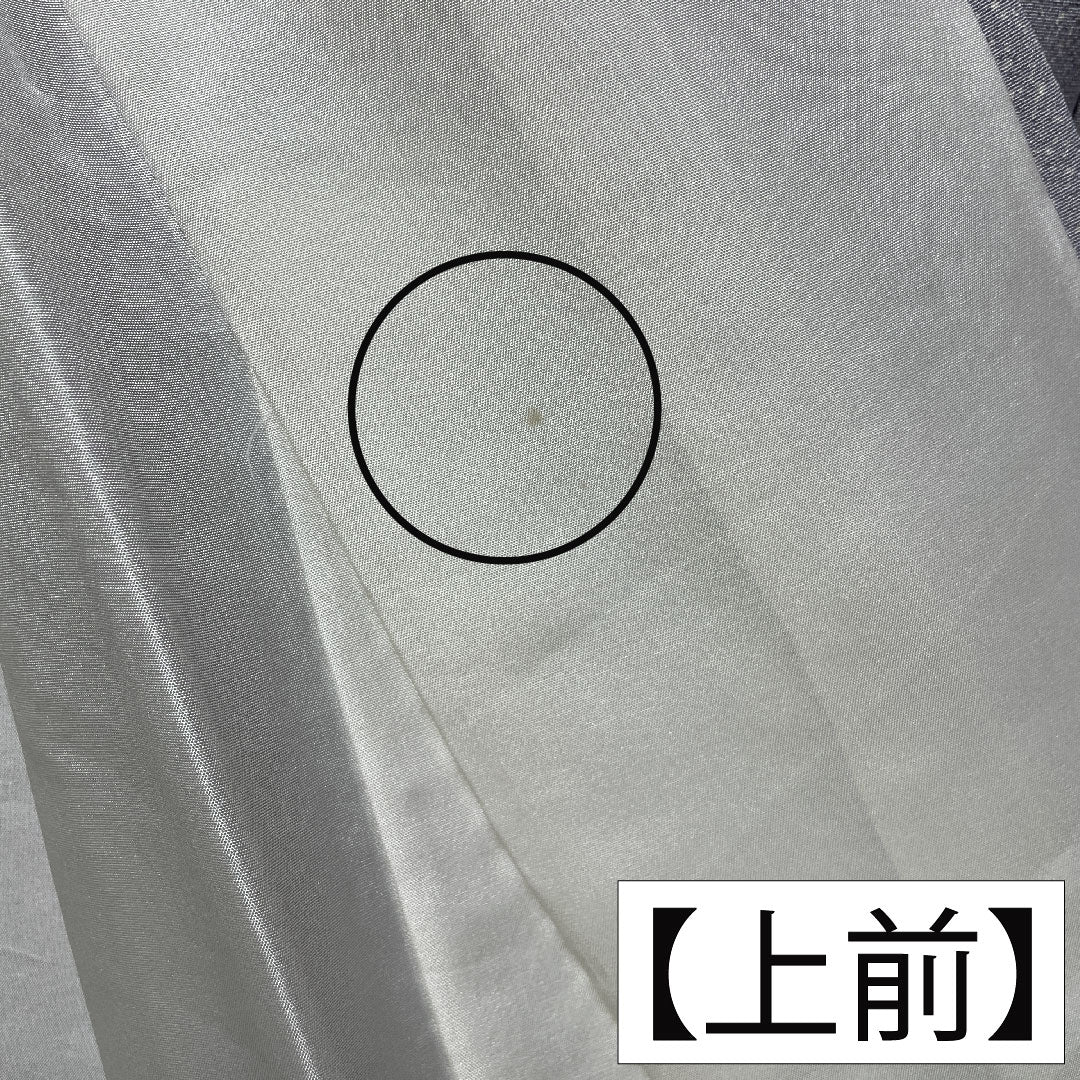 Homongi, pure silk, lined, length 167cm, sleeve length 62.5cm, white-green, Kyo-Yuzen, fan, dew grass, B rank, green, 1112004934519
