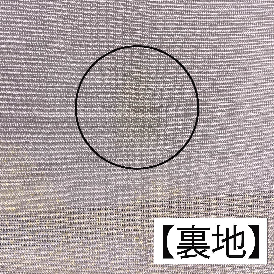 夏物 正絹 訪問着 身丈153cm 裄丈61.5cm 桜色(さくらいろ) 京友禅 一つ紋 丸に橘 絽 Bランク ピンク系 1132002194213