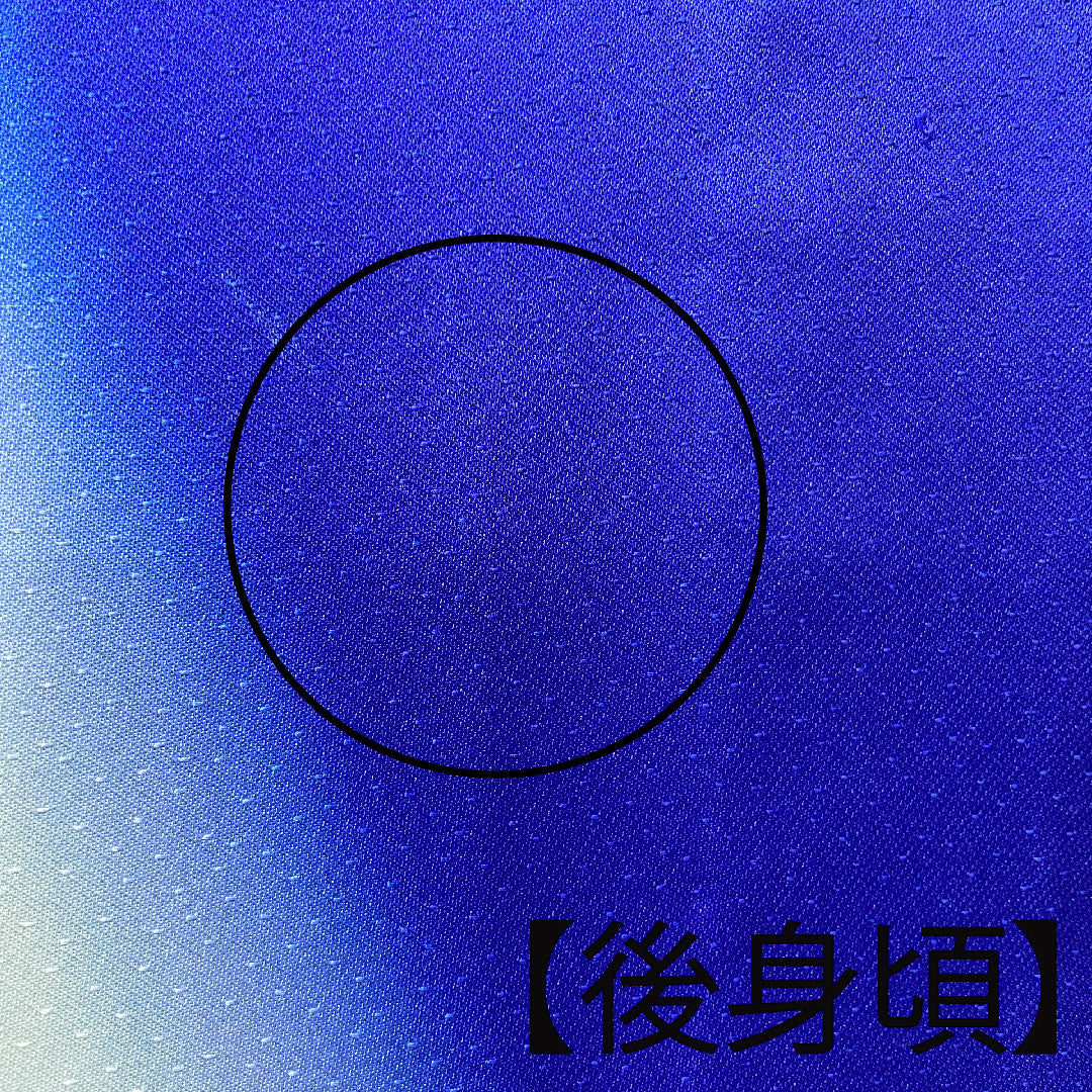 振袖 身丈176.5cm 裄丈64cm 袷 瑠璃色 花鳥模様 正絹 Bランク 紺系 1113001484818