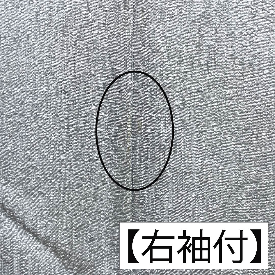 訪問着 正絹 Bランク 袷 身丈168cm 裄丈62cm 白銅色(はくどういろ) 蘇州刺繡 草花 流水 しつけ糸付き グレー系 1112007524522