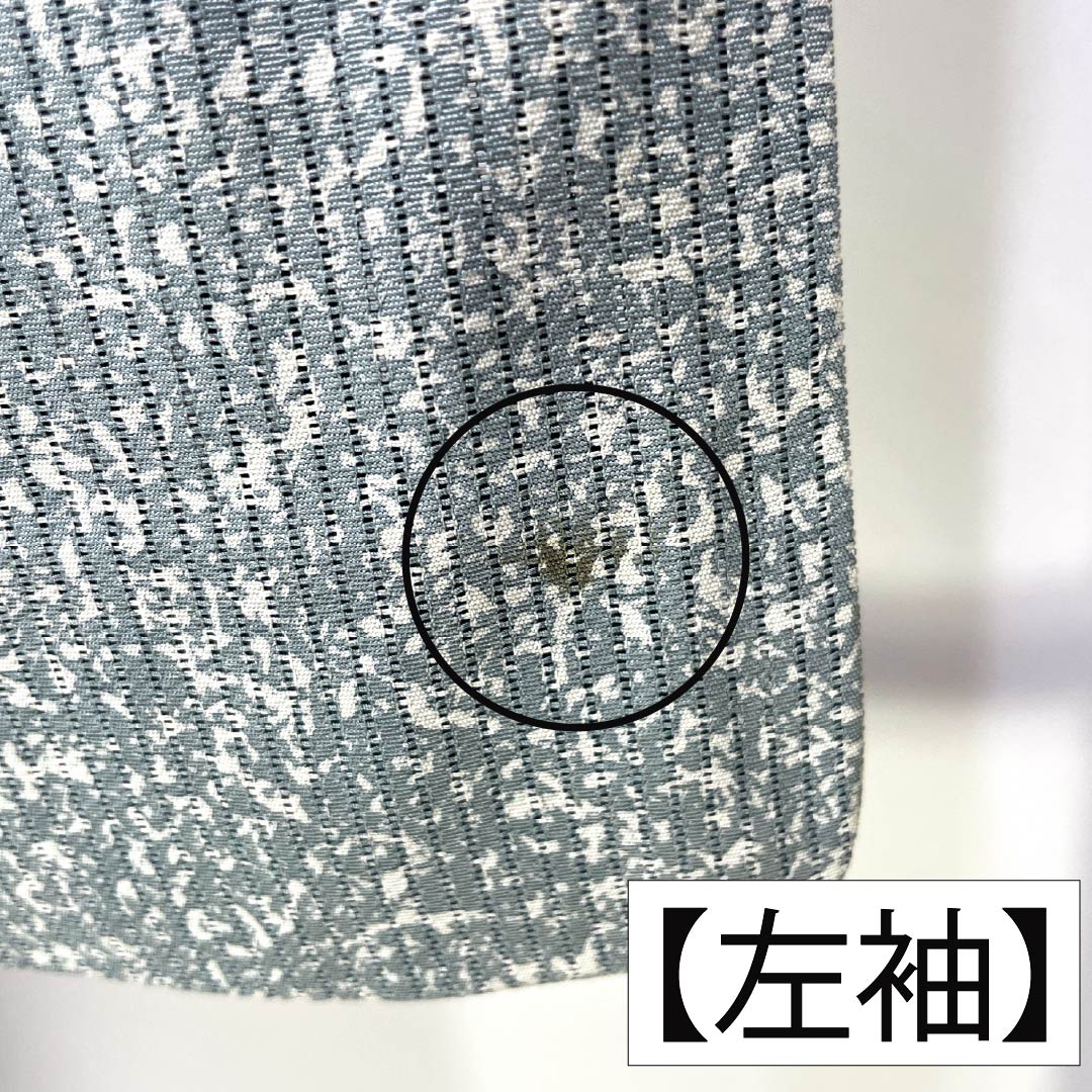 夏物 正絹 訪問着 Aランク 身丈161.5cm 裄丈66cm 浅葱鼠色(あさぎねずいろ) 竪絽 江戸小紋 タタキ染 絽 青系 1132005043417