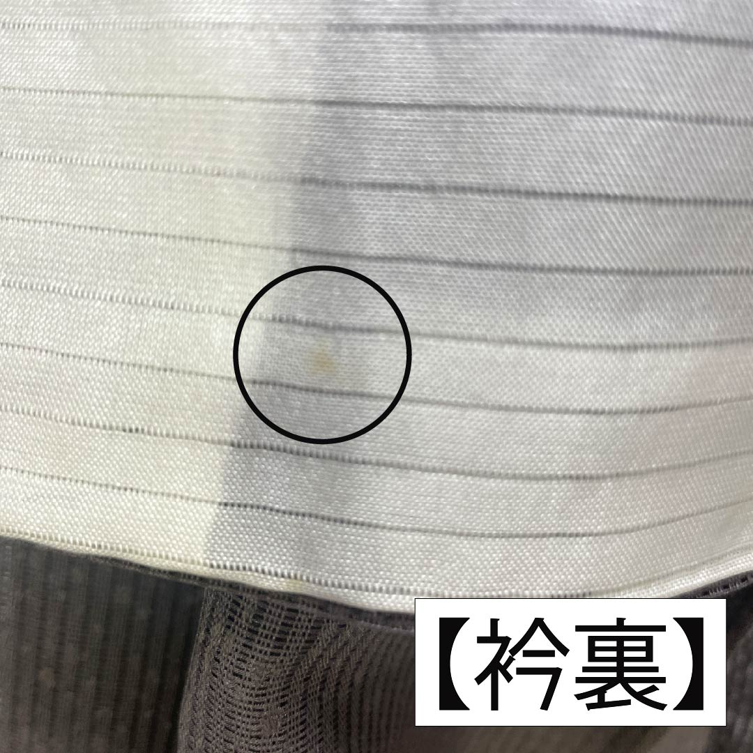 夏物 正絹 訪問着 Bランク 身丈165.5cm 裄丈65cm 都鼠色(みやこねずいろ) 京友禅 タタキ染 秋草 絽 茶系 1132005104514