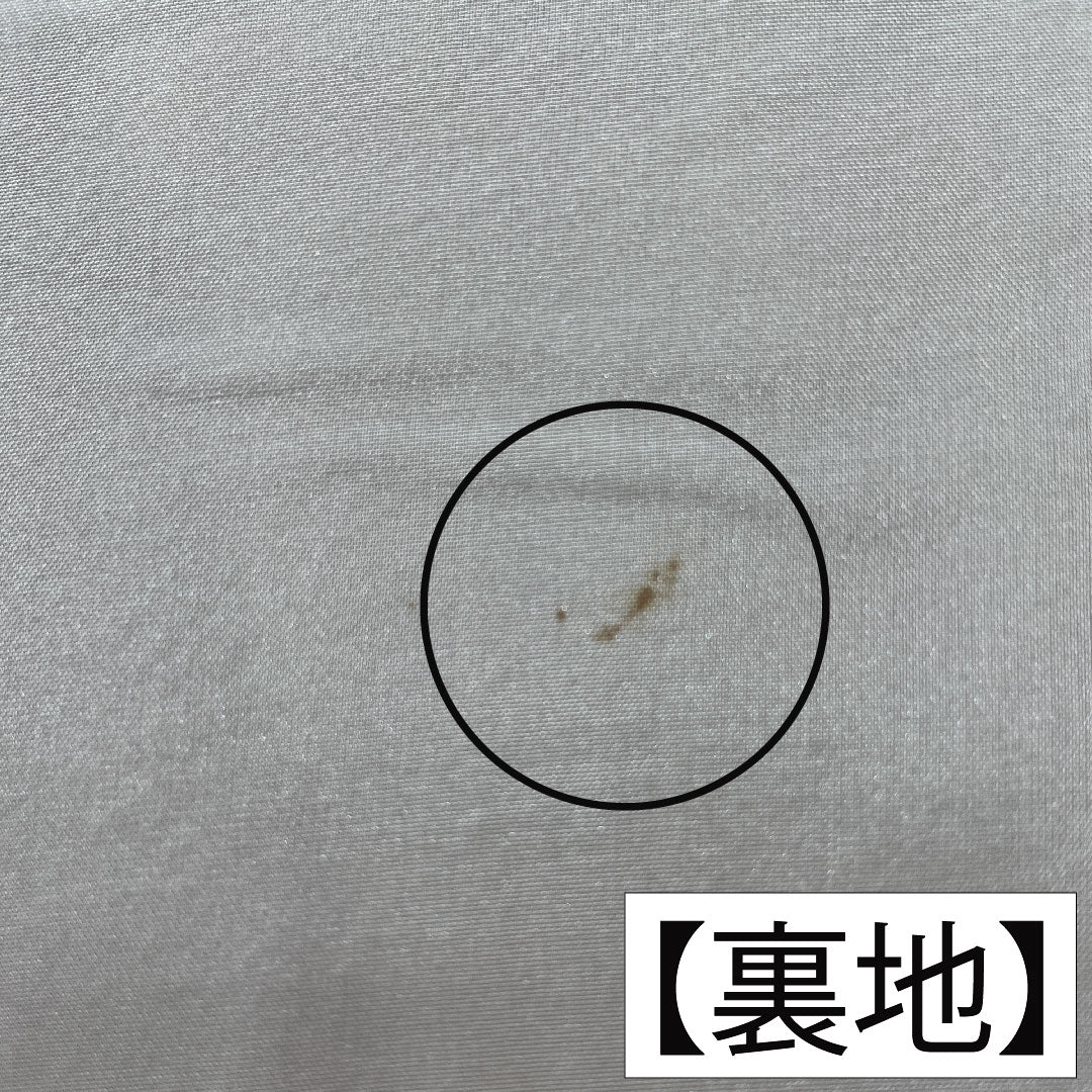 訪問着 正絹 袷 身丈165.5cm 裄丈65cm 弁柄色(べんがらいろ) 京友禅 茶屋辻風景模様 ちりめん地 Aランク 朱系 1112005923516