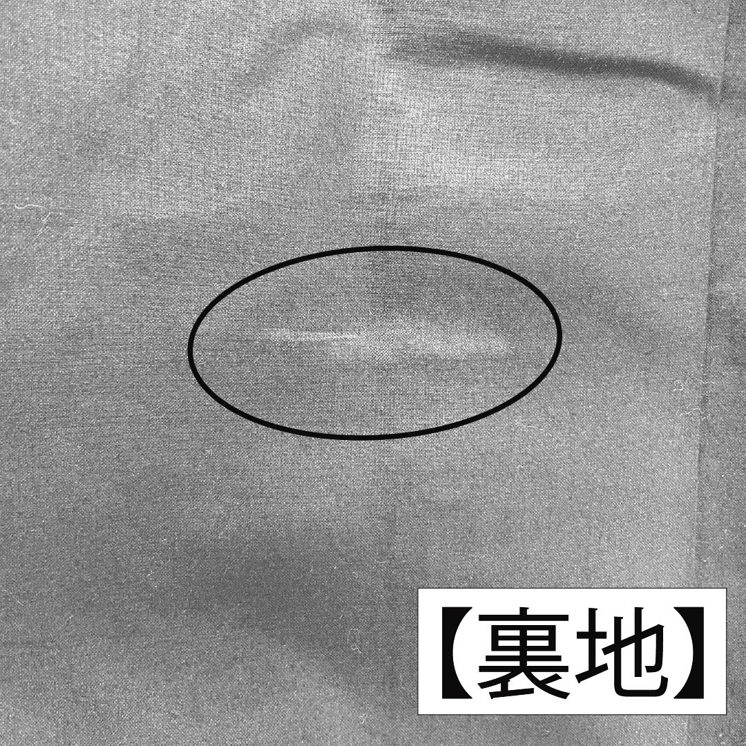 男物 正絹 Sランク 身丈141cm 裄丈67.5cm 裏色(うらいろ) 大島紬 100亀甲 アンサンブル 袷 青系 1119001392417