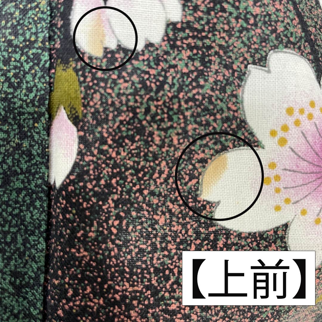 浴衣 木綿 身丈162cm 裄丈68cm Bランク 単衣 グラデーション系 萌葱色(もえぎいろ) 長春色(ちょうしゅんいろ) 桜 1118005984499