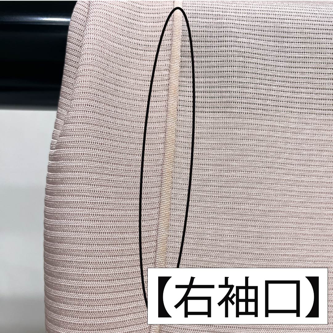 夏物 正絹 訪問着 身丈153cm 裄丈61.5cm 桜色(さくらいろ) 京友禅 一つ紋 丸に橘 絽 Bランク ピンク系 1132002194213