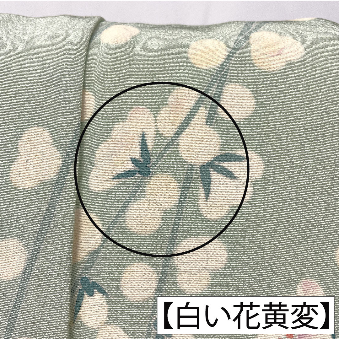 訪問着 正絹 袷 身丈165cm 裄丈63.5cm 白緑色(びゃくろくいろ) 加賀友禅 作家物 一つ紋 中陰五瓜 Aランク 緑系 1112005713519