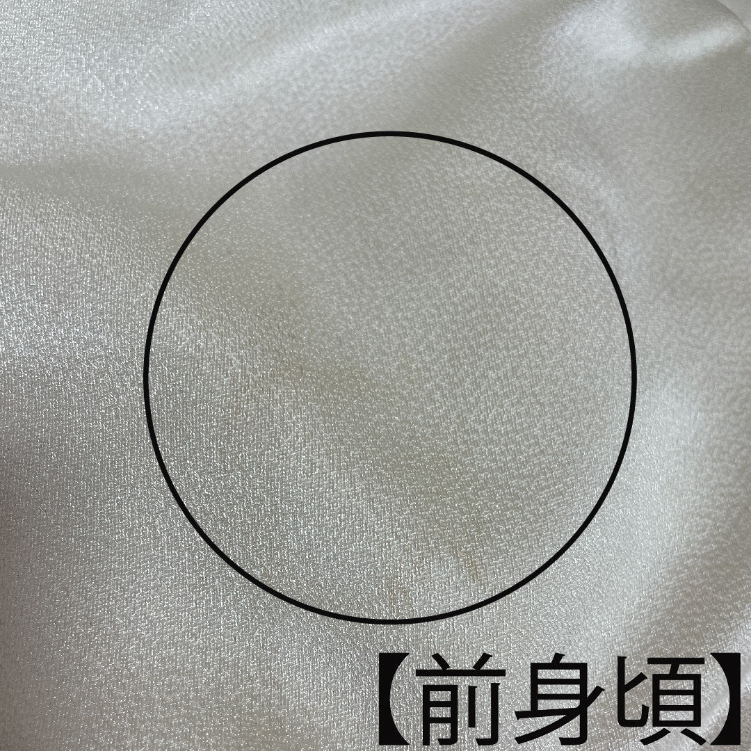 色打掛 正絹 身丈191cm 裄丈65cm 唐織 金彩加工 鶴 Bランク 袷 白系 1110000664911