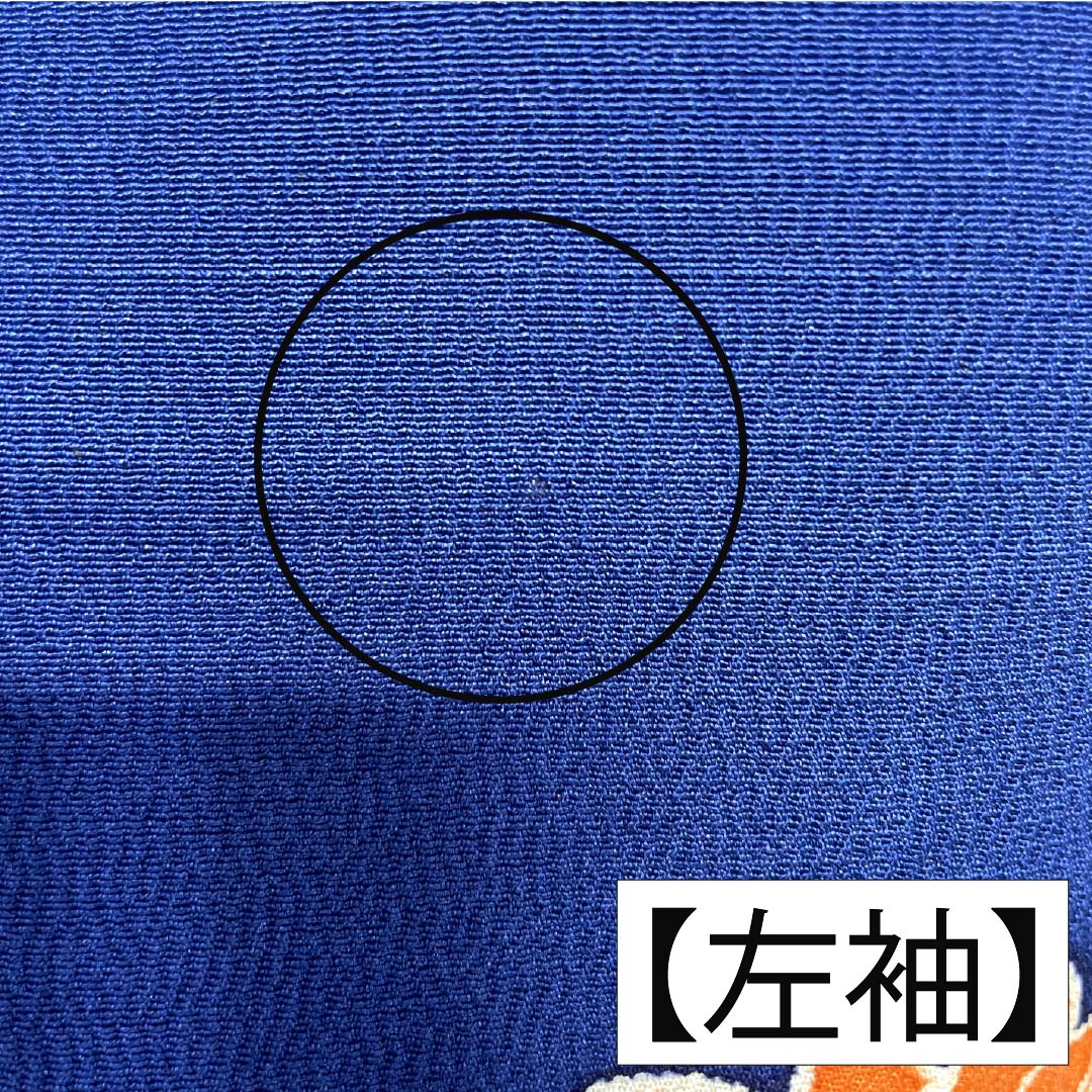 訪問着 正絹 Bランク 袷 身丈158cm 裄丈63.5cm 紺瑠璃色(こんるりいろ) 京紅型 吉祥文様 松竹梅 菖蒲 鳥 青系 1112007284317