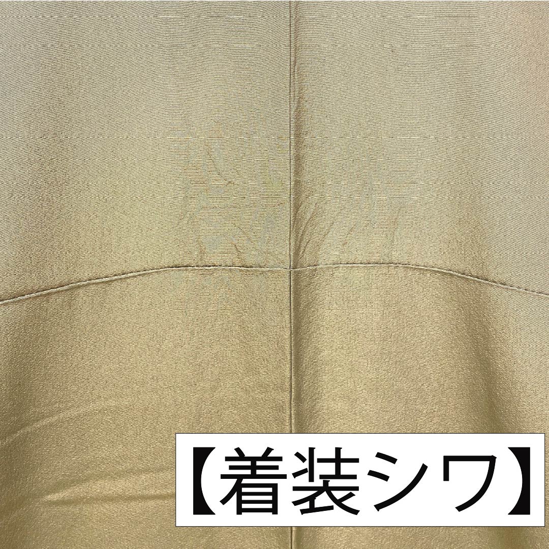 訪問着 正絹 Aランク 袷 身丈160cm 裄丈62.5cm 丁子煤竹色(ちょうじすすたけいろ) 琉球紅型 雪輪 鳳凰 風景 パールトーン加工 ベージュ系 1112007273425