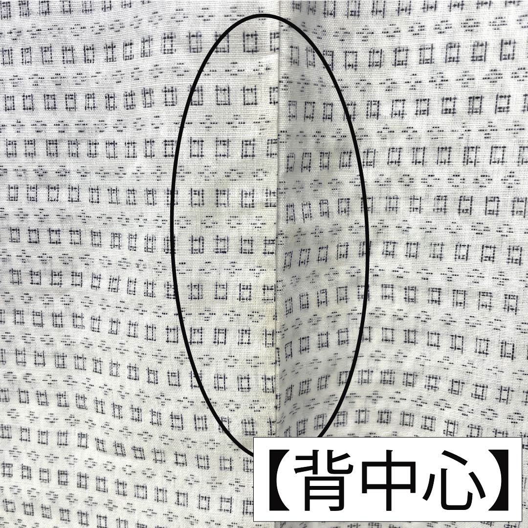 夏物 綿麻 男物 Bランク 身丈149cm 裄丈69cm 絣柄 紗 白系 1132006464411