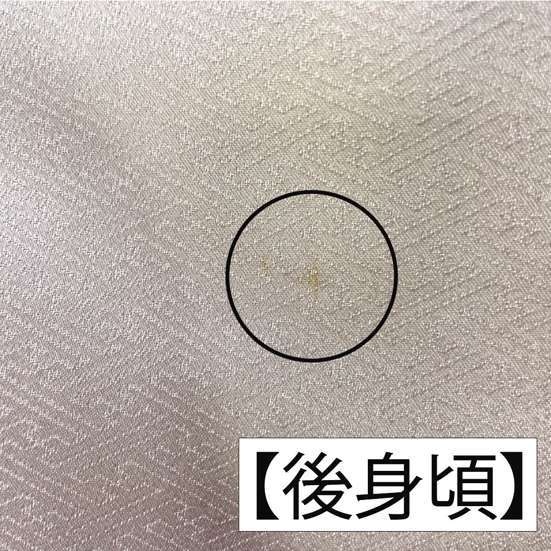 訪問着 正絹 Bランク 袷 身丈154.5cm 裄丈64cm 生成り色(きなりいろ) 福田喜重 人間国宝 一つ紋 上田家桐 刺繍 クリーム系 1112006824215