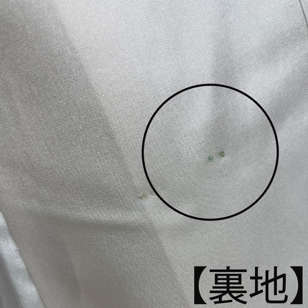 訪問着 正絹 袷 身丈158.5cm 裄丈62.5cm 薄緑色 桐屋翠山工房謹製 辻ヶ花 Aランク 緑系 1112003603319