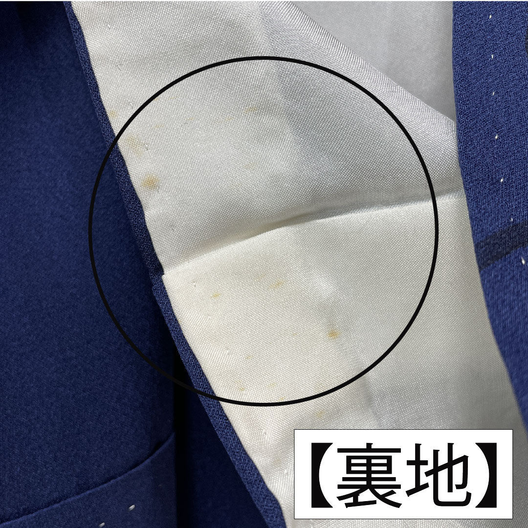 訪問着 正絹 袷 身丈159cm 裄丈65cm 濃紺色(のうこんいろ) 蝶 薔薇 Aランク 紺系 1112005883318