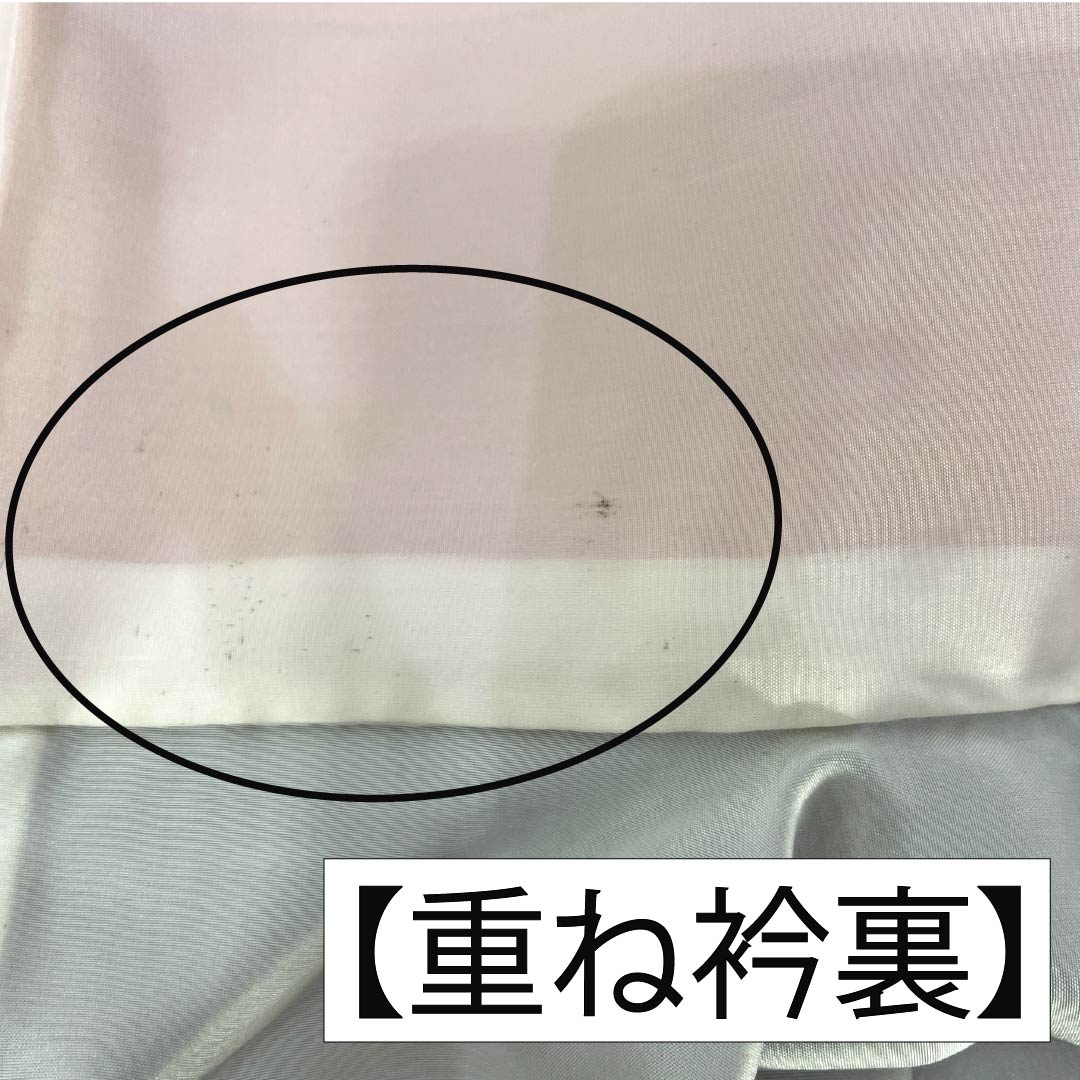 振袖 正絹 Aランク 身丈153cm 裄丈60.5cm 袷 型染 吉祥文様 梅 菊 ちりめん地 重ね衿付き 青系 1113002233217