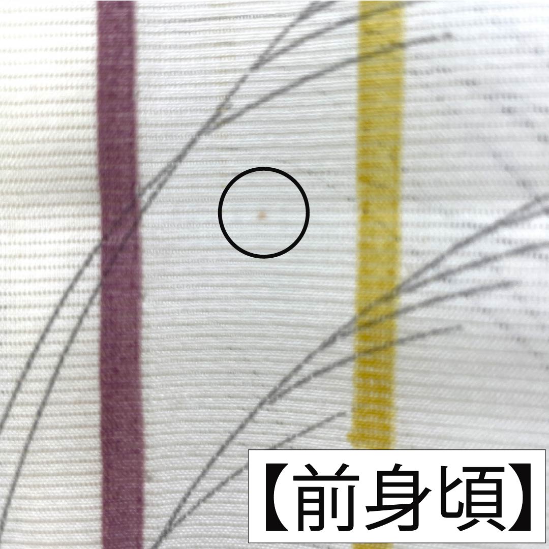 夏物 ポリエステル 小紋 Aランク 身丈158cm 裄丈64cm 乳白色(にゅうはくしょく) 洗える着物 竹 ススキ 絽 クリーム系 1132006083315