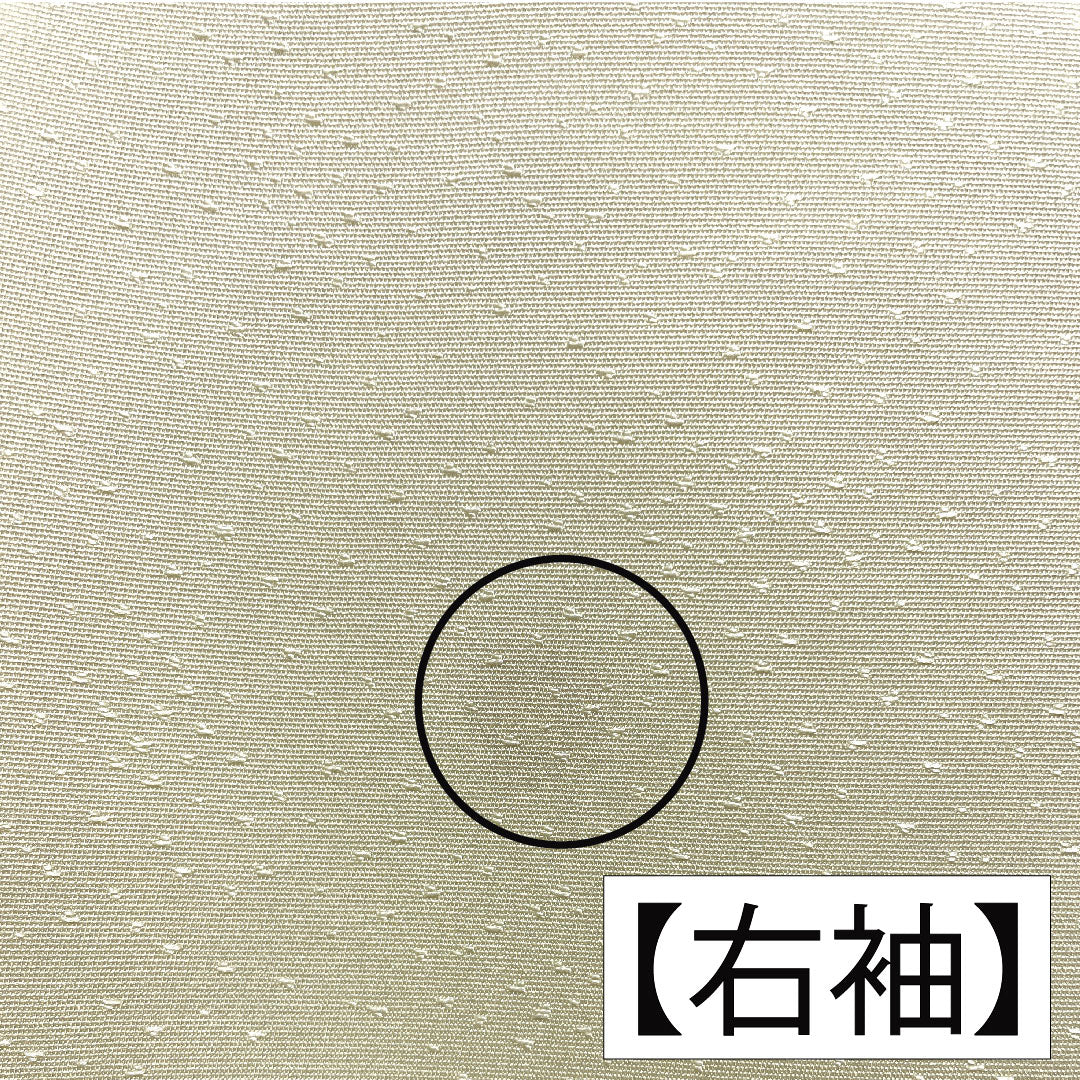 訪問着 正絹 袷 身丈156.5cm 裄丈63cm 淡黄色(たんこうしょく) 京友禅 草花模様 Aランク 黄系 1112005393323