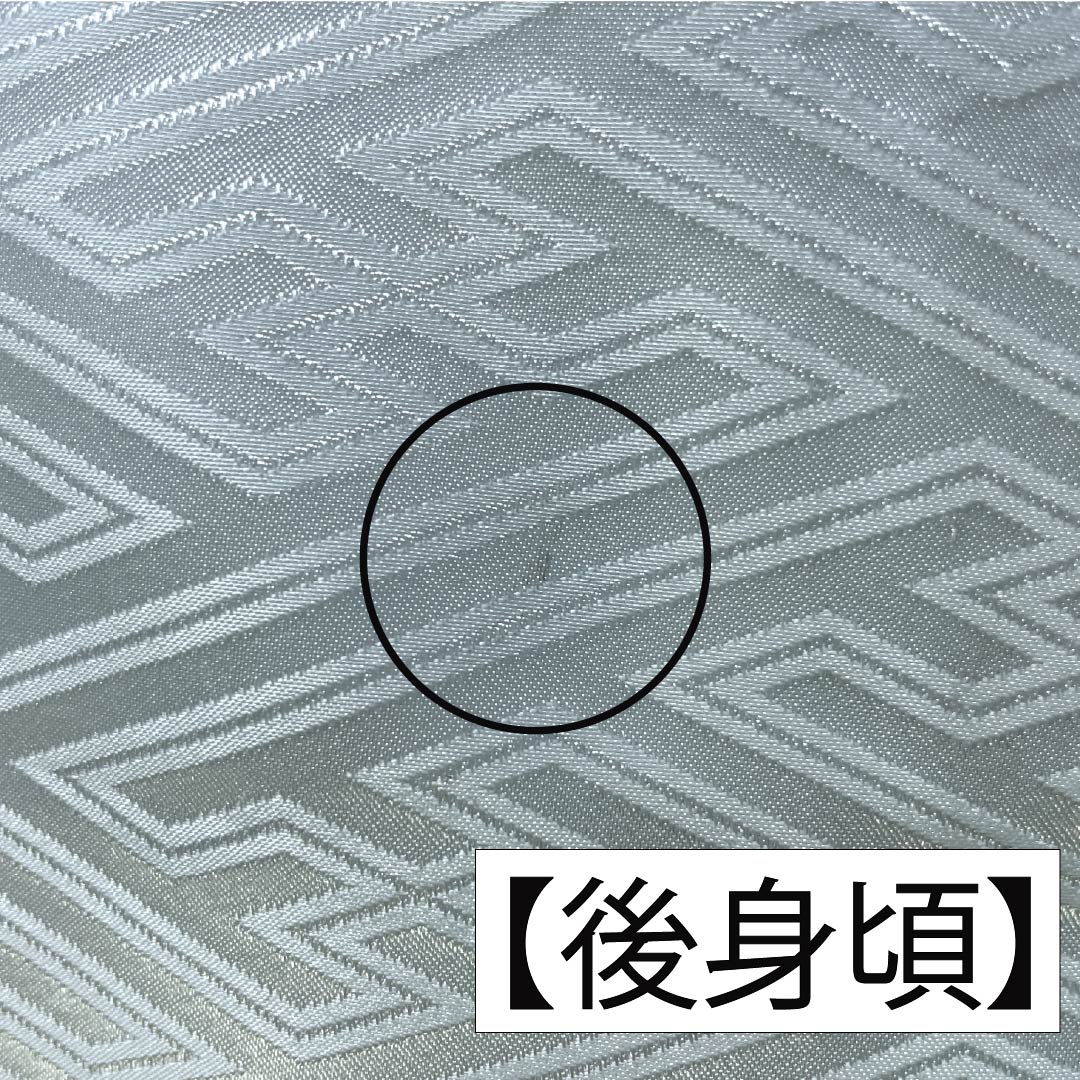 訪問着 ポリエステル Aランク 胴抜き 身丈156cm 裄丈64cm 薄水色(うすみずいろ) 半衿付き 踊り衣装 紗綾形 緑系 1112006383319