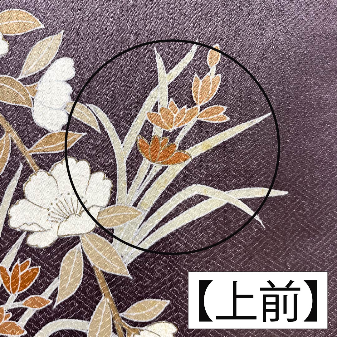 訪問着 正絹 Bランク 袷 身丈164cm 裄丈64.5cm 紅掛鼠色(べにかけねずいろ) 京友禅 一つ紋 草木 紫系 1112007044420