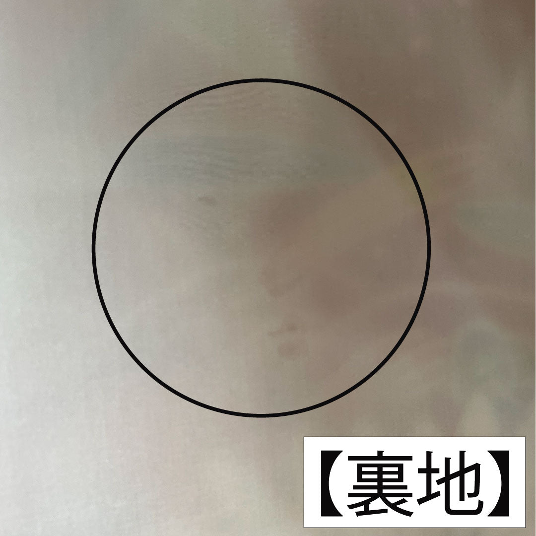 振袖 正絹 身丈160cm 裄丈62.5cm 袷 土耳古赤色(とるこあかいろ) 金通し 露芝 草花模様 Aランク 赤系 1113002043412