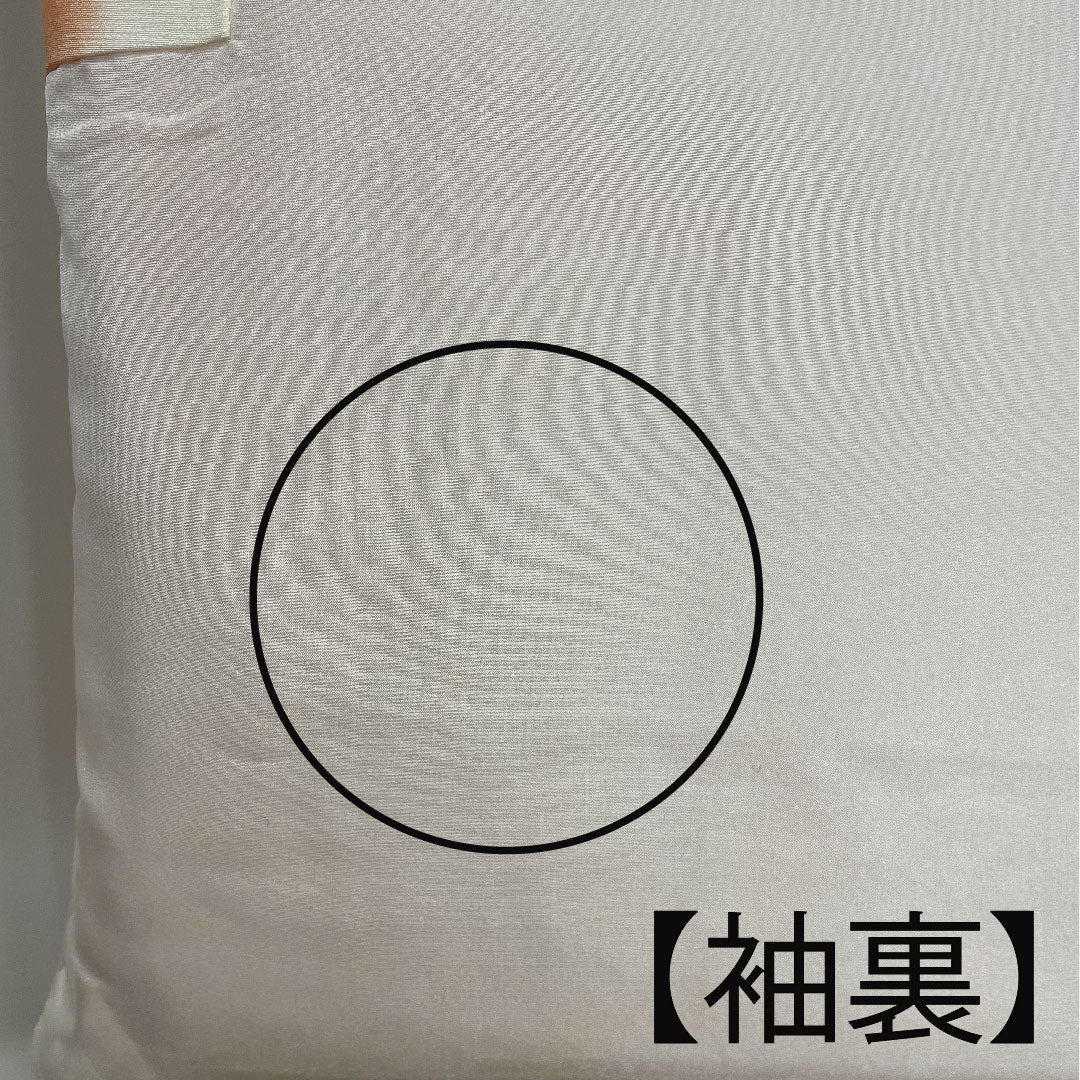 小紋 身丈148cm 裄丈60cm 袷 江戸小紋 流水 鮫 人参色 正絹 Cランク 朱系 1115002145116