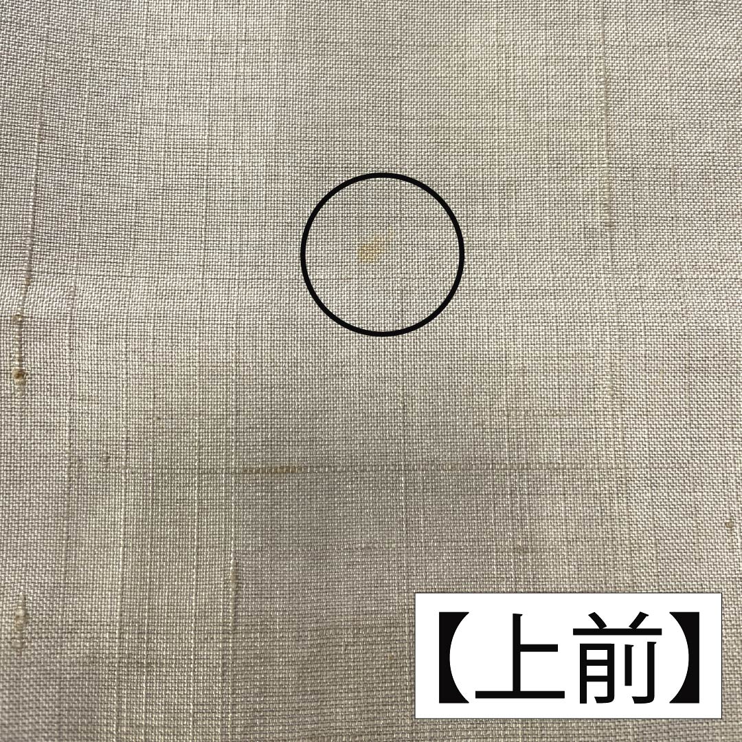 訪問着 正絹 Bランク 袷 身丈160cm 裄丈68cm 亜麻色(あまいろ) 生紬 桶絞り 乾山絞り 伝統工芸作家 吉澤与市 ベージュ系 1112007414425