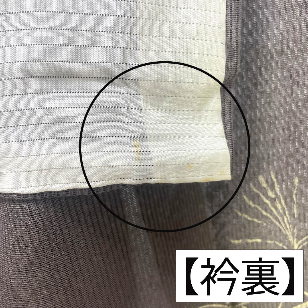 夏物 正絹 訪問着 Bランク 身丈165.5cm 裄丈65cm 都鼠色(みやこねずいろ) 京友禅 タタキ染 秋草 絽 茶系 1132005104514