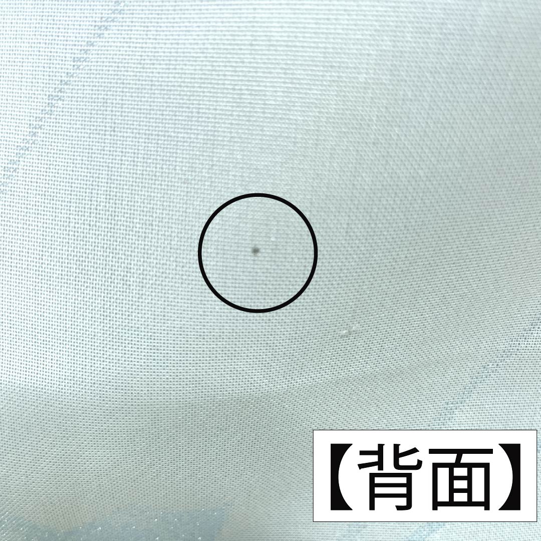 夏物 ポリエステル お召 Aランク 身丈159.5cm 裄丈64.5cm 青白磁色(せいはくじいろ) すくい織 薔薇 洗える着物 紗 水色系 1132004963324