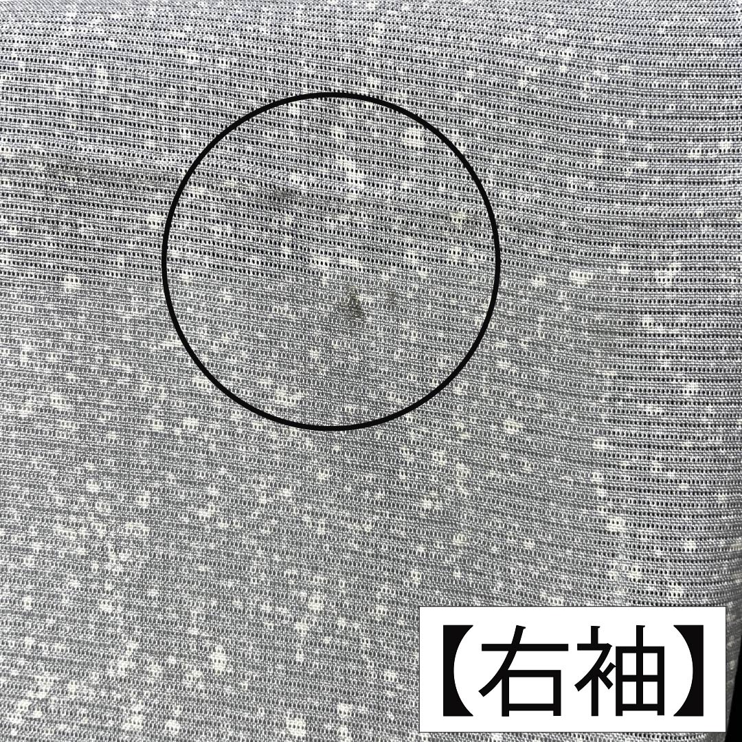 夏物 正絹 小紋 Aランク 身丈156cm 裄丈65.5cm 銀灰色(ぎんかいしょく) タタキ染 一つ紋 丸に上り藤 絽 グレー系 1132006423322