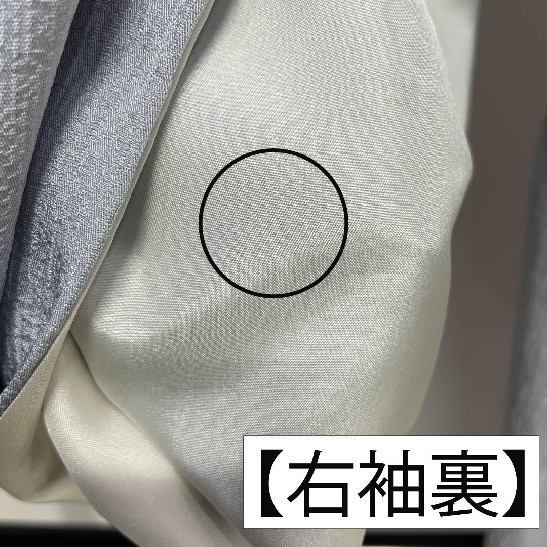 訪問着 正絹 Bランク 袷 身丈168cm 裄丈62cm 白銅色(はくどういろ) 蘇州刺繡 草花 流水 しつけ糸付き グレー系 1112007524522