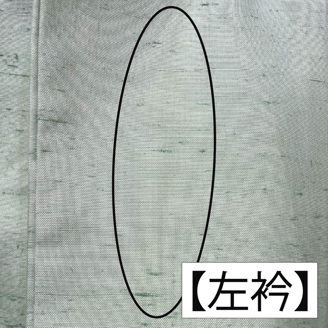 訪問着 正絹 Aランク 袷 身丈155cm 裄丈61cm 薄緑色(うすみどりいろ) 牛首紬 一つ紋 中陰蔦 草花 緑系 1112007533319