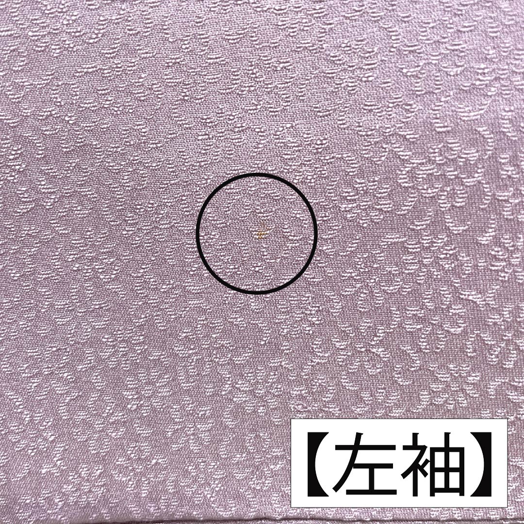 訪問着 正絹 Bランク 袷 身丈165.5cm 裄丈67.5cm 淡紅藤色(うすべにふじいろ) 付下げ 草花 紫系 1112007404520