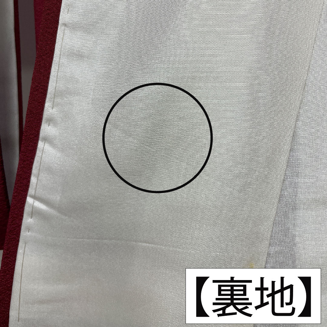 訪問着 正絹 袷 身丈163.5cm 裄丈64.5cm 臙脂色(えんじいろ) 辻ヶ花 Aランク 赤系 1112005823412