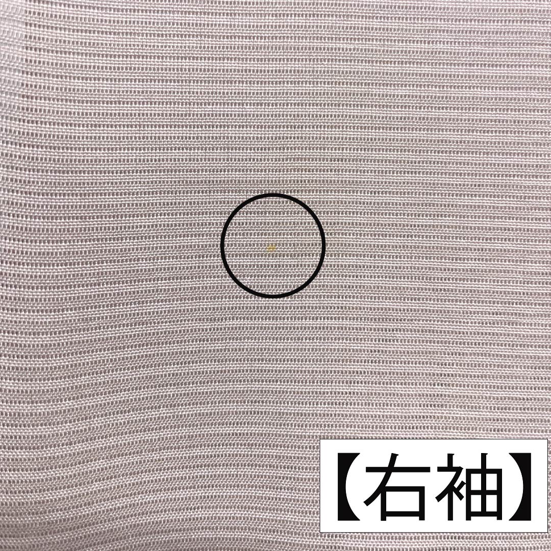 夏物 正絹 訪問着 身丈153cm 裄丈61.5cm 桜色(さくらいろ) 京友禅 一つ紋 丸に橘 絽 Bランク ピンク系 1132002194213