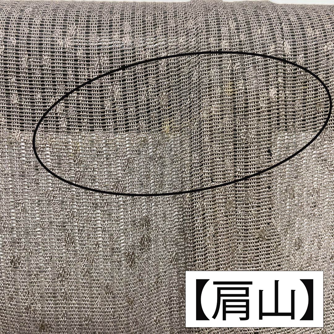 夏物 正絹 訪問着 Bランク 身丈165.5cm 裄丈65cm 都鼠色(みやこねずいろ) 京友禅 タタキ染 秋草 絽 茶系 1132005104514