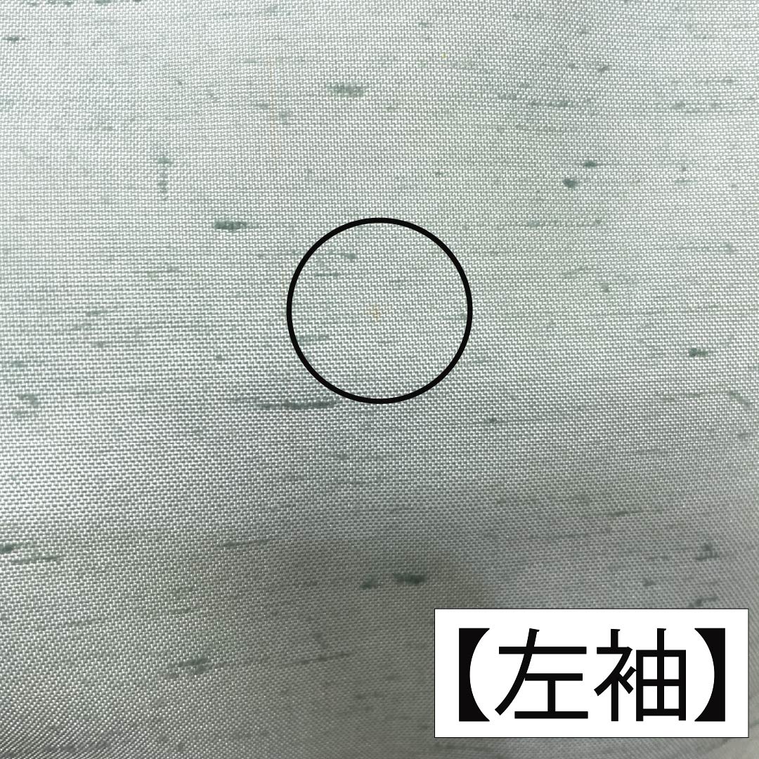 訪問着 正絹 Aランク 袷 身丈155cm 裄丈61cm 薄緑色(うすみどりいろ) 牛首紬 一つ紋 中陰蔦 草花 緑系 1112007533319