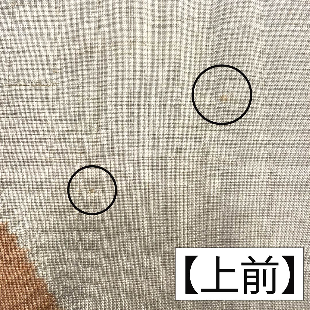 訪問着 正絹 Bランク 袷 身丈160cm 裄丈68cm 亜麻色(あまいろ) 生紬 桶絞り 乾山絞り 伝統工芸作家 吉澤与市 ベージュ系 1112007414425