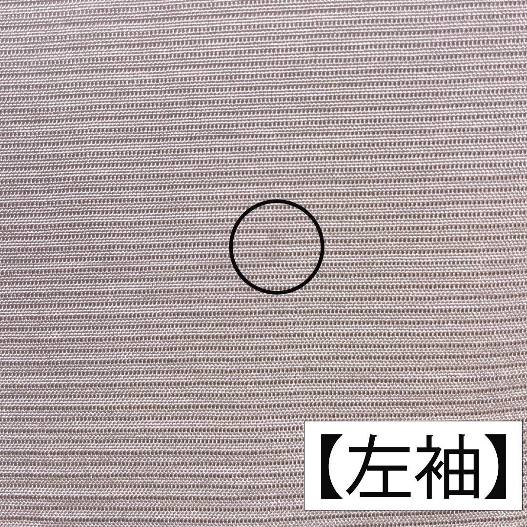 夏物 正絹 訪問着 身丈153cm 裄丈61.5cm 桜色(さくらいろ) 京友禅 一つ紋 丸に橘 絽 Bランク ピンク系 1132002194213