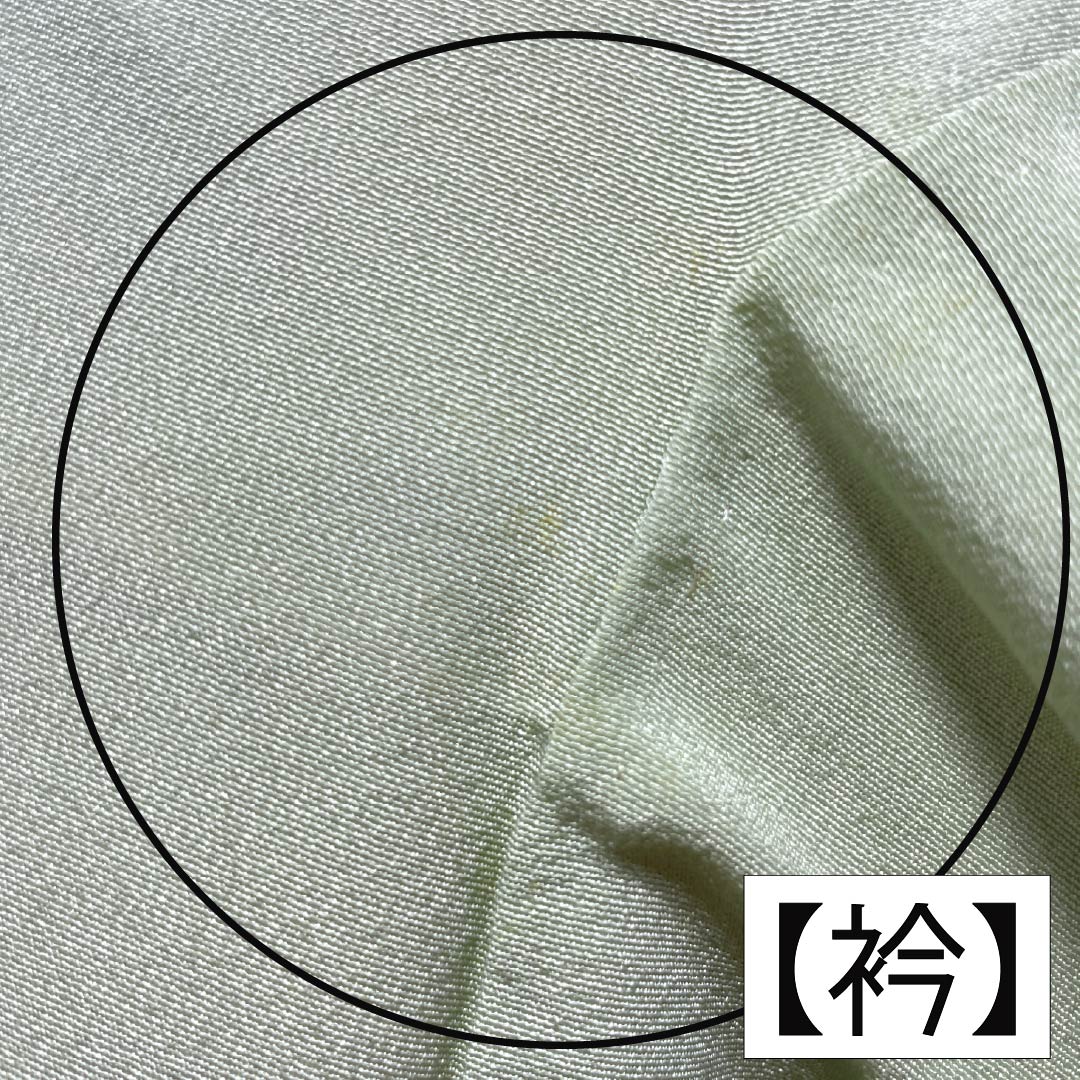 訪問着 正絹 Bランク 袷 身丈165cm 裄丈65.5cm 薄緑色(うすみどりいろ) 花 作家物 周市 しつけ糸付き 緑系 1112006974519