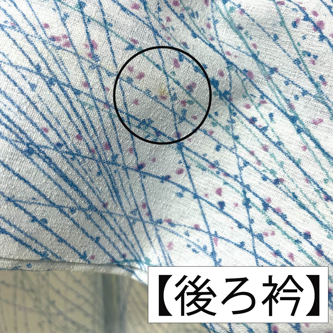 夏物 木綿 小紋 Bランク 身丈156cm 裄丈62cm 蟹鳥染色(かにとりぞめいろ) 抽象模様 紗 水色系 1132004404324