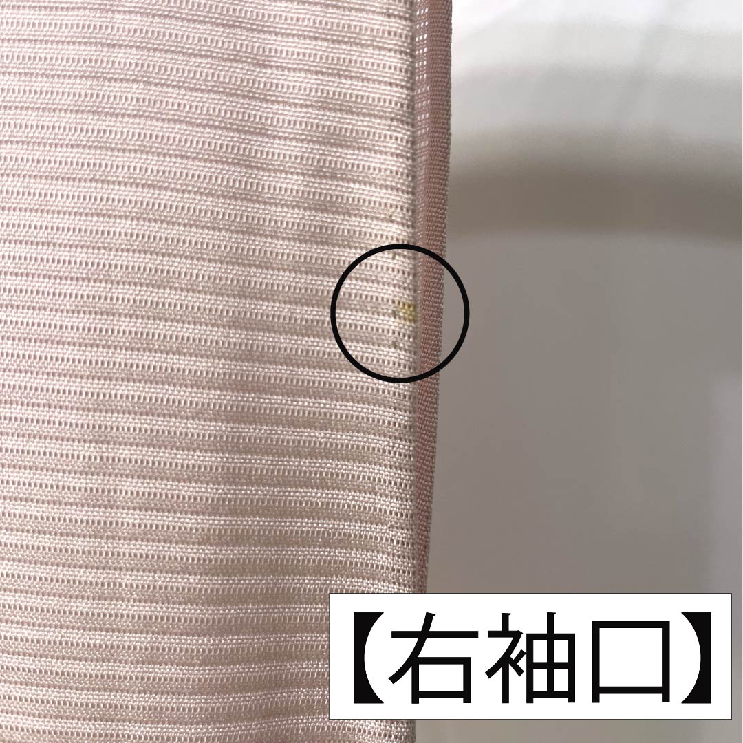 夏物 正絹 訪問着 身丈153cm 裄丈61.5cm 桜色(さくらいろ) 京友禅 一つ紋 丸に橘 絽 Bランク ピンク系 1132002194213