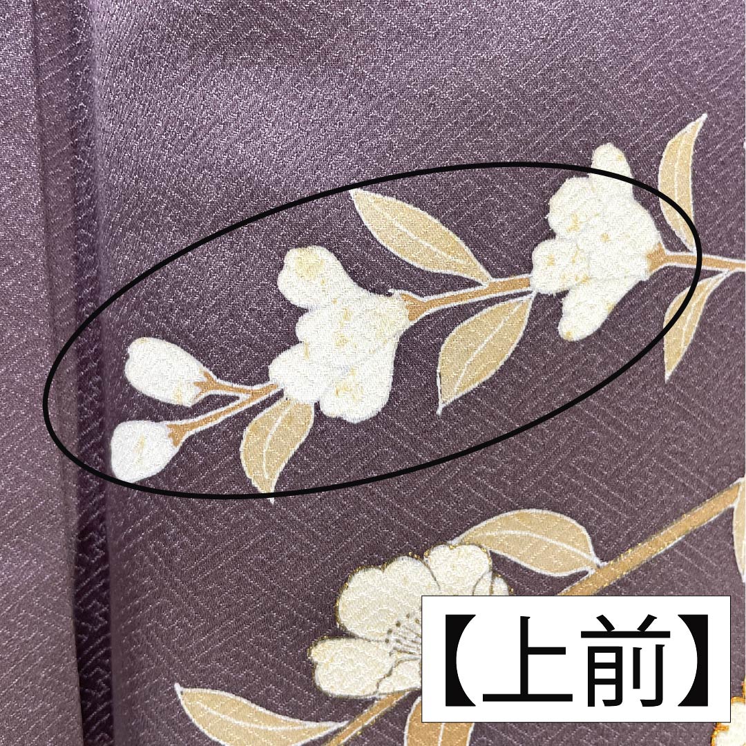 訪問着 正絹 Bランク 袷 身丈164cm 裄丈64.5cm 紅掛鼠色(べにかけねずいろ) 京友禅 一つ紋 草木 紫系 1112007044420
