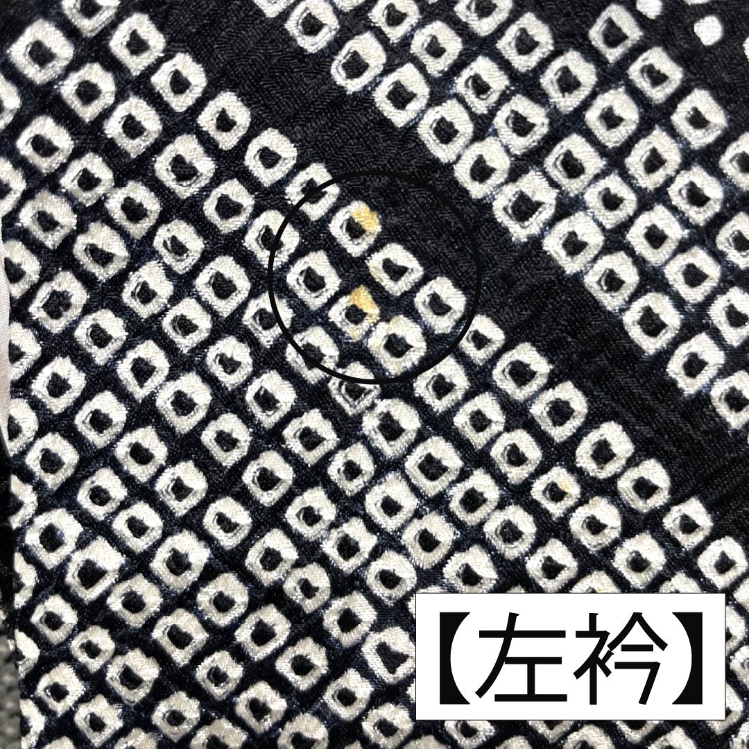 訪問着 正絹 Bランク 袷 身丈161cm 裄丈64.5cm 絞り 銀駒刺繍 重ね衿付き 紗綾形 笹 草花 モノトーン 1112007344427