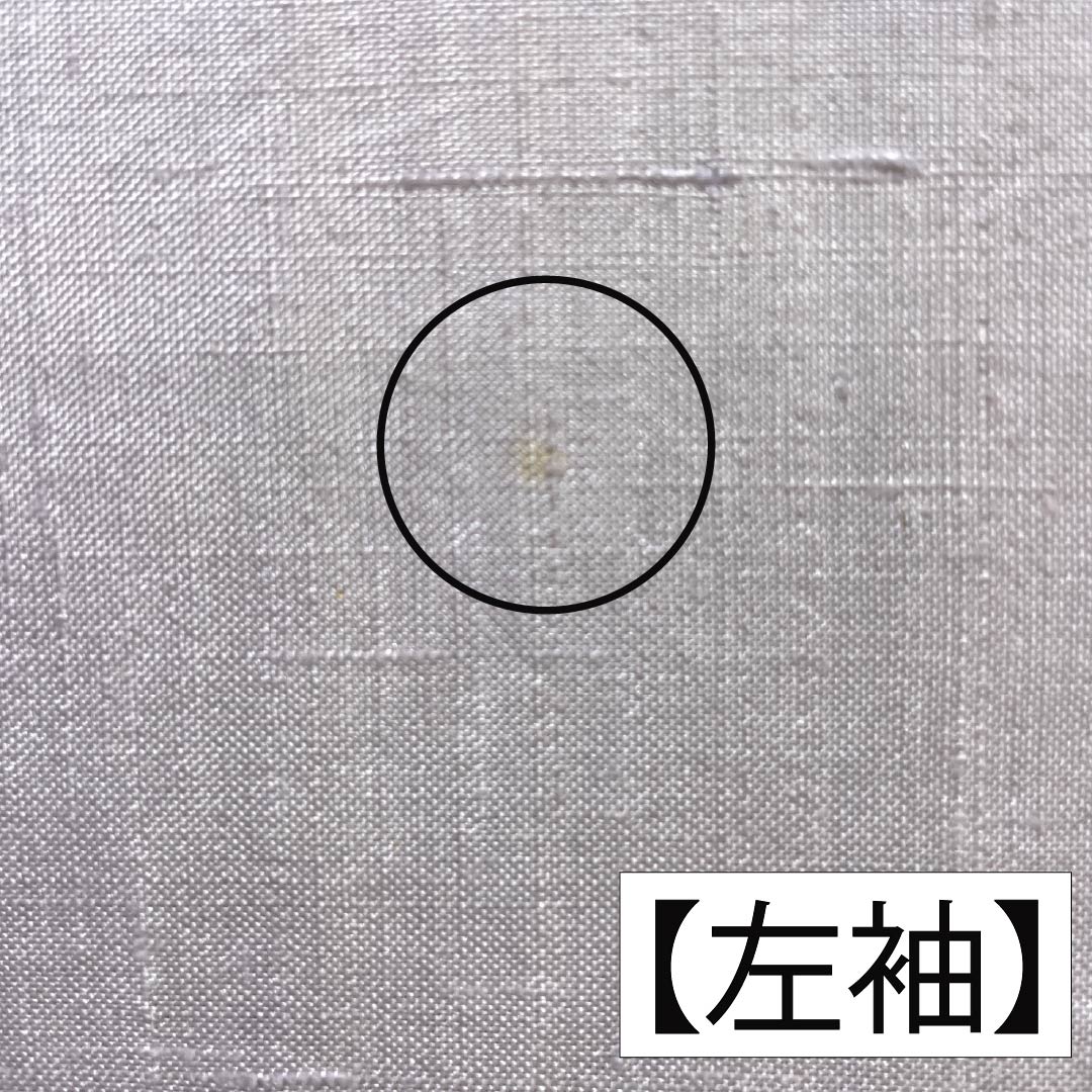 訪問着 正絹 Bランク 単衣 身丈165.5cm 裄丈64.5cm 白藤色(しらふじいろ) 紬地 絞り 作家物 辻ヶ花 紫系 1112007554520